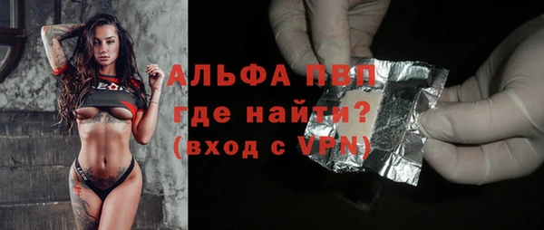 индика Гусиноозёрск