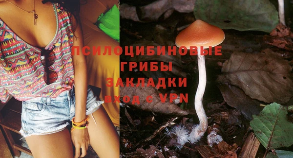 индика Гусиноозёрск