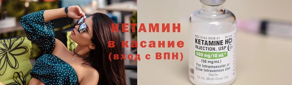 индика Гусиноозёрск
