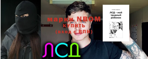 МДПВ Гусев