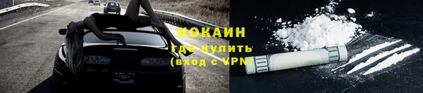 МДПВ Гусев