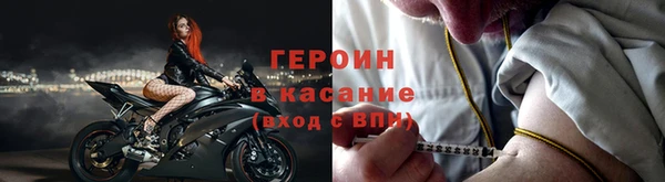 индика Гусиноозёрск