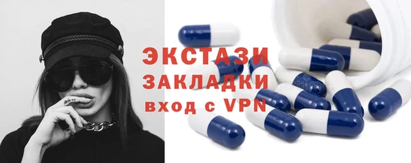 индика Гусиноозёрск