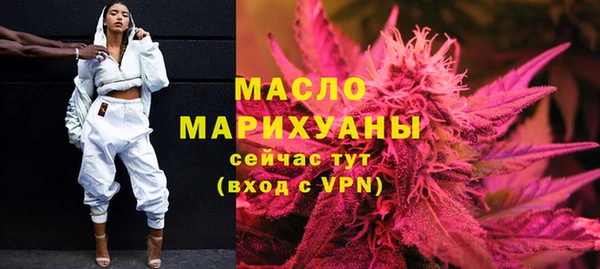 индика Гусиноозёрск