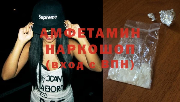 индика Гусиноозёрск