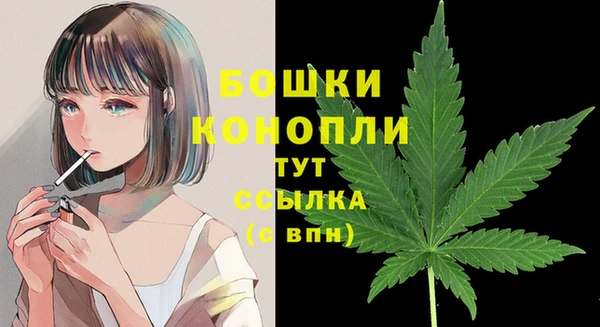 индика Гусиноозёрск
