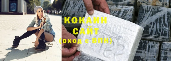 МДПВ Гусев