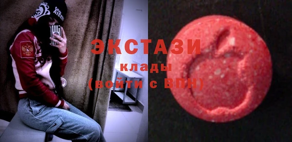 индика Гусиноозёрск