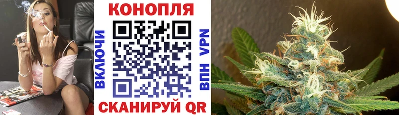 Купить  Балей  Бошки Шишки сатива 